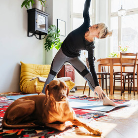 Hund liegt vor Frau, die Yoga macht